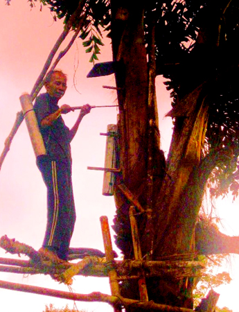 Lạ & Cười - Độc đáo 'cây tự nấu rượu' trên đỉnh Trường Sơn